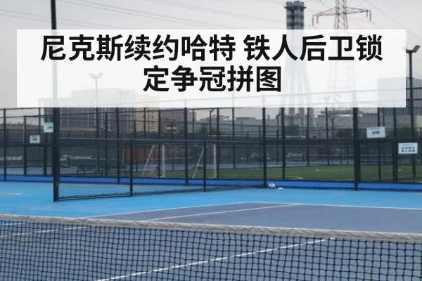 尼克斯续约哈特 铁人后卫锁定争冠拼图