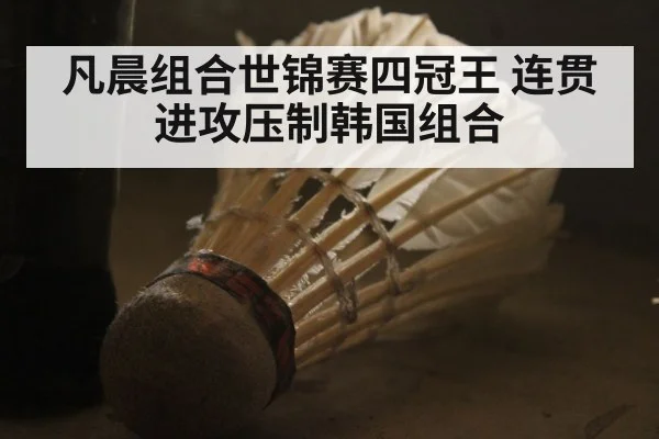 凡晨组合世锦赛四冠王 连贯进攻压制韩国组合